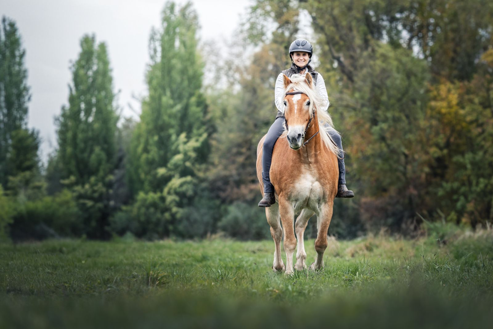 Reiterin reitet ihren Haflinger im Schritt über eine Wiese am Waldrand — Beritt & Ausbildung im Gelände