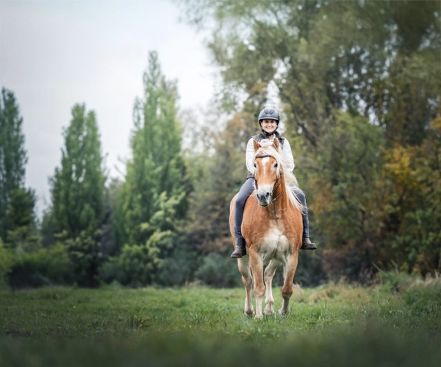 Reiten in der freien Natur auf einem Haflinger im Reitkunstzentrum Südbaden